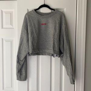 Grey Levi Cropped Crew Neck